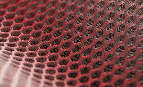 Fraîcheur dorsale unique