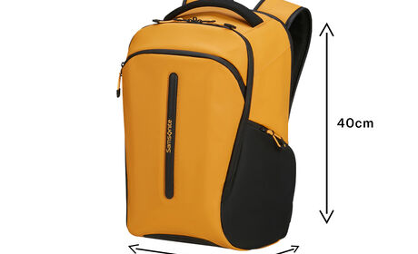 Gratuit à bord des vols Ryanair