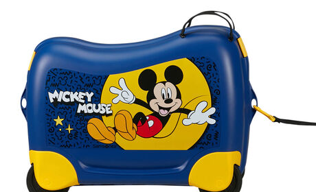 Multifunctional leash