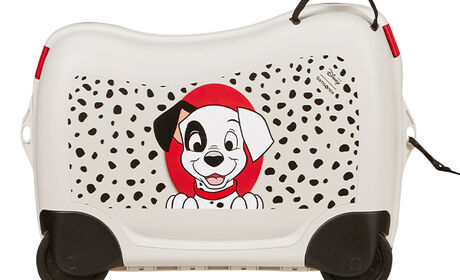 Multifunctional leash