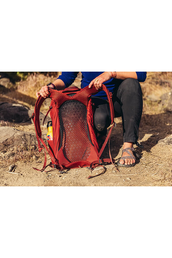 Gregory Arrio 24 RC  Brick Red