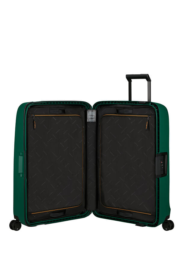 Valise alpine 2025