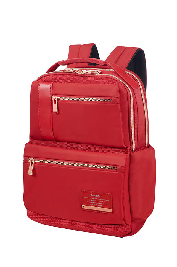 Sac à hotsell dos samsonite openroad