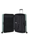 Samsonite Fyrm 3 PC Set A  Basil Green